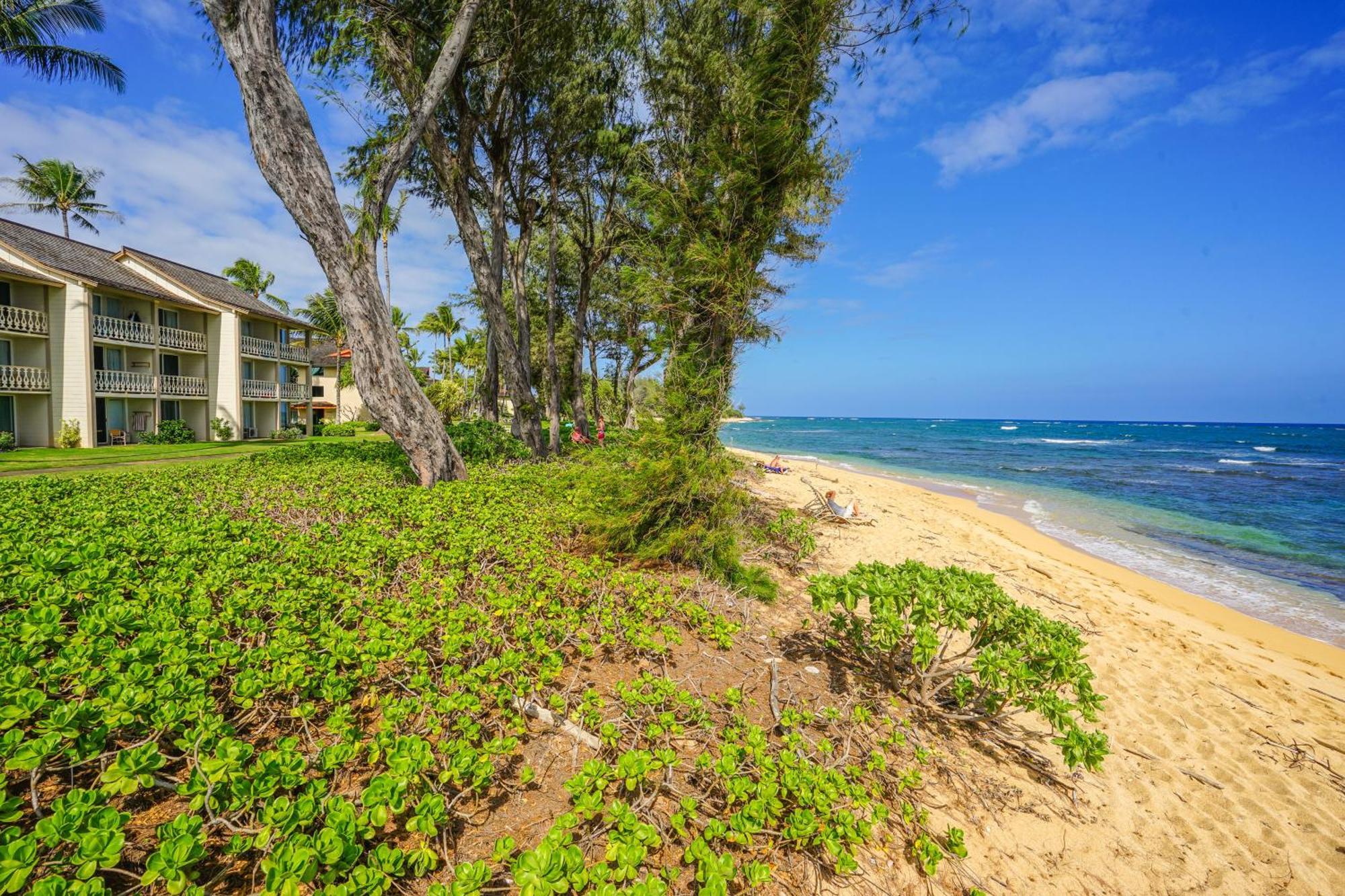 Islander On The Beach Kapa'a Chambre photo